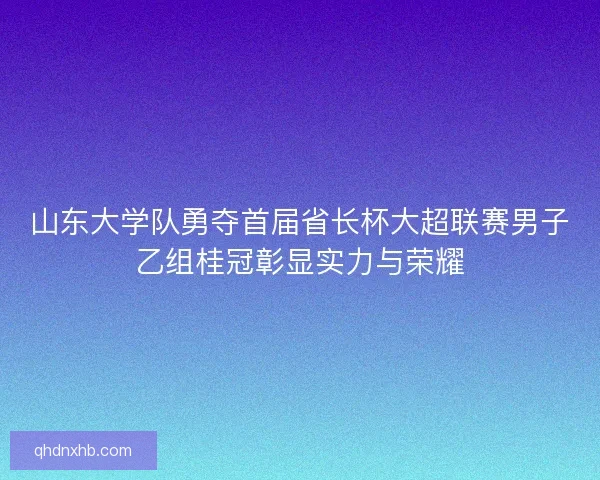 山东大学队勇夺首届省长杯大超联赛男子乙组桂冠彰显实力与荣耀